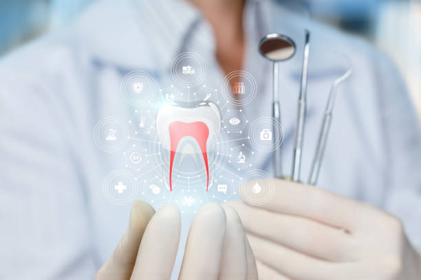 Best Full Mouth Reconstruction  in Tolono, IL